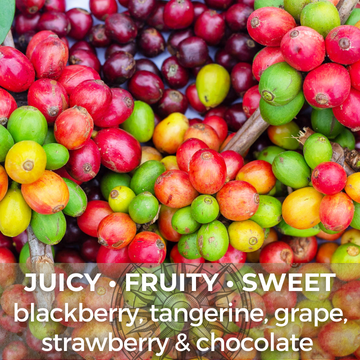 Fruit BOMB Blend